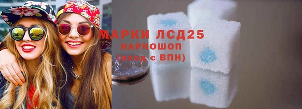 индика Арсеньев