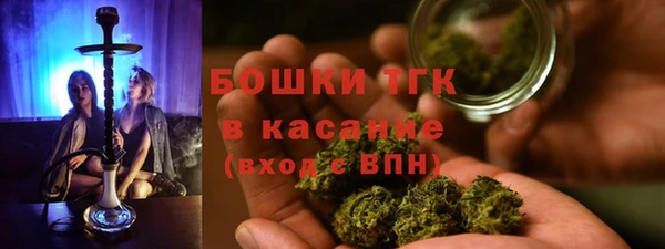 СК Аркадак