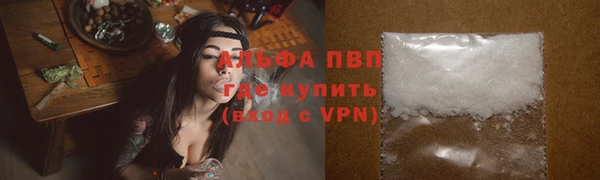 тгк Армянск