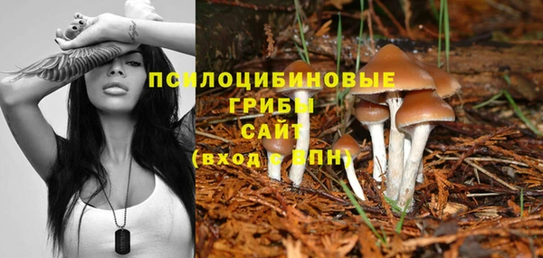 СК Аркадак