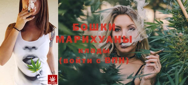 индика Арсеньев