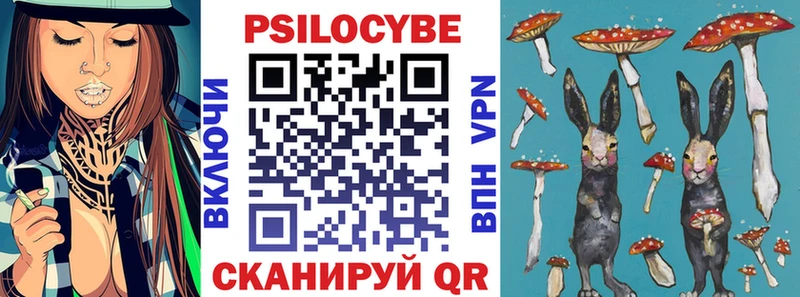 купить   Хадыженск  Галлюциногенные грибы GOLDEN TEACHER 